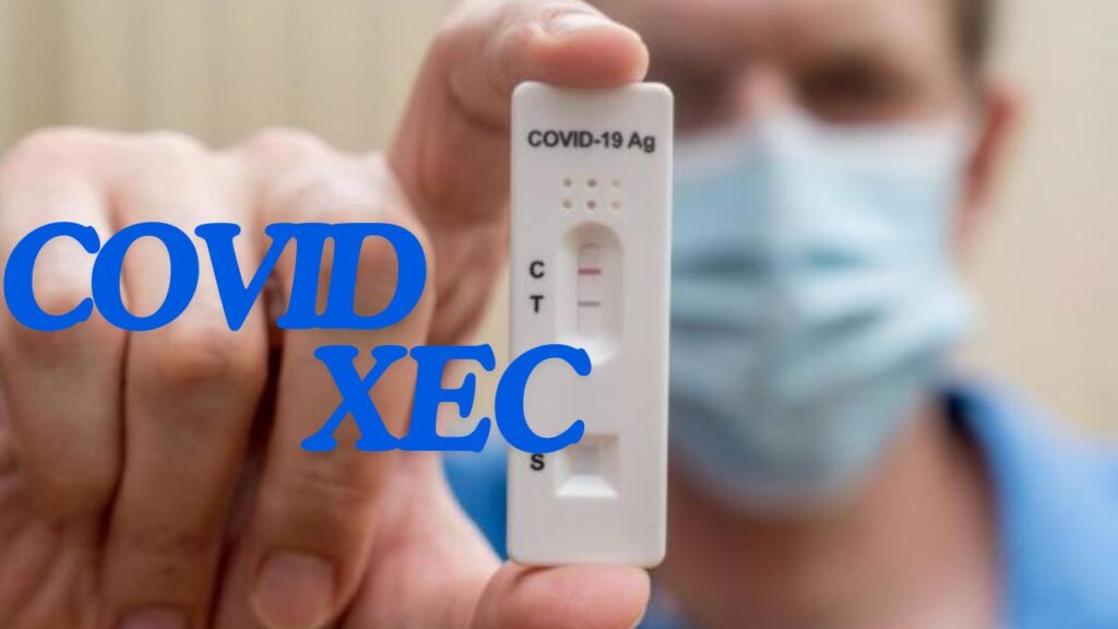 COVID XEC variant