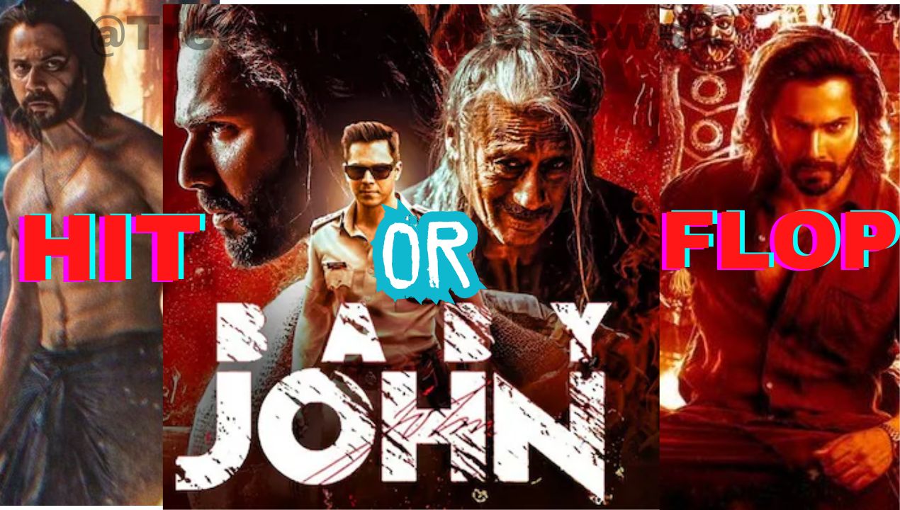 Baby John Box Office Collection: A Star-Studded Film Struggles at the Box Office, Can It Be a Big Flop?